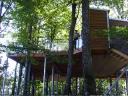 Tree House 