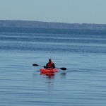 Kayak outside Kullaberg, Nimis in Höganäs County