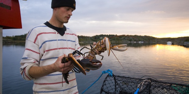 Handelsman-Flink-Lobstersafari-Niklas-Krafft-Bohuslän-West-Sweden-Photo-Frank-Heuer.jpg